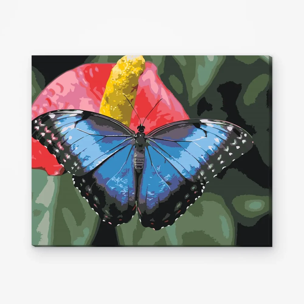 Pintar por Números - Mariposa sobre flor roja