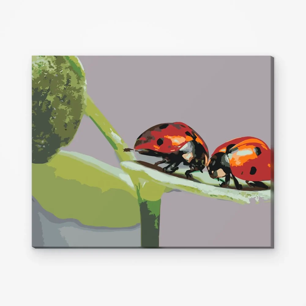 Pintar por Números - Mariquitas