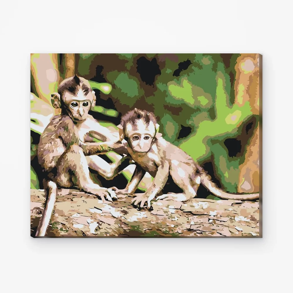 Pintar por Números - Monos