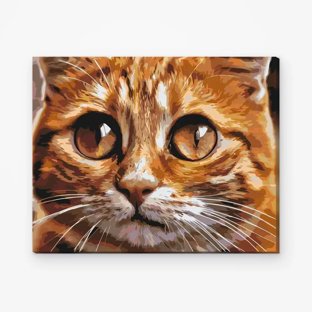 Pintar por Números - Ojos de gato 2