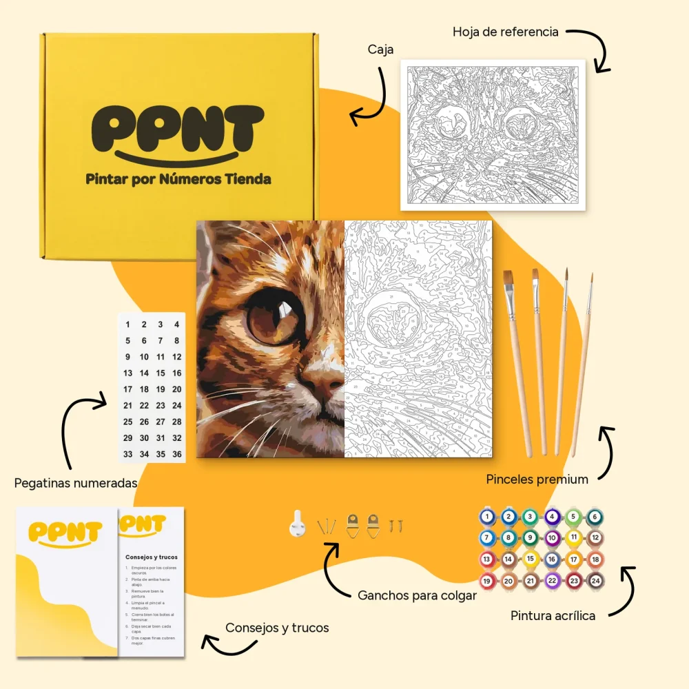 Pintar por Números - Ojos de gato 2