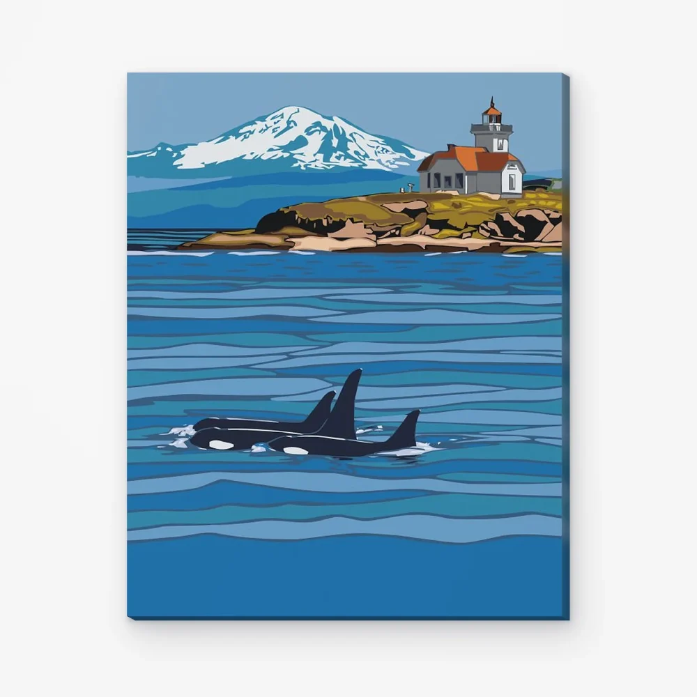 Pintar por Números - Orcas