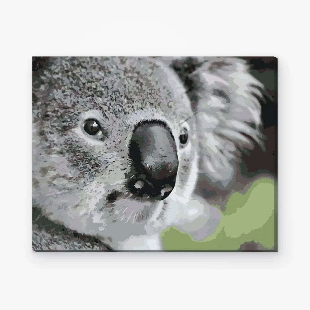 Pintar por Números - Osito koala
