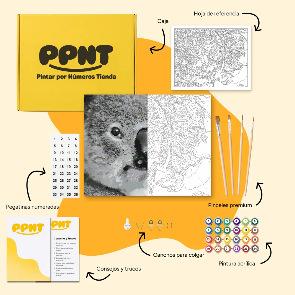Pintar por Números - Osito koala