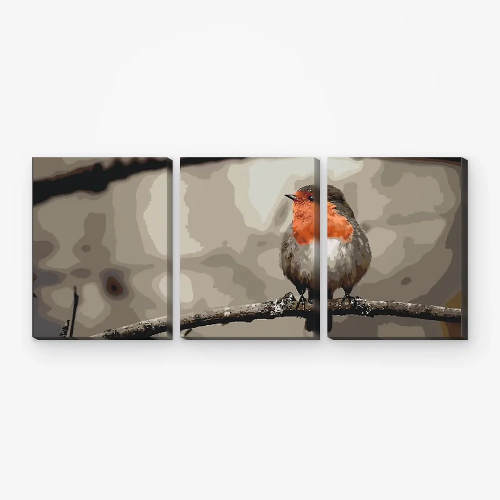 Pintar por Números - Pajarito rojo (lote de 3)
