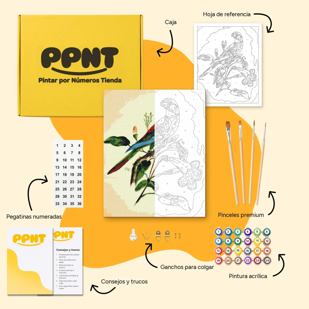 Pintar por Números - Pájaro de época