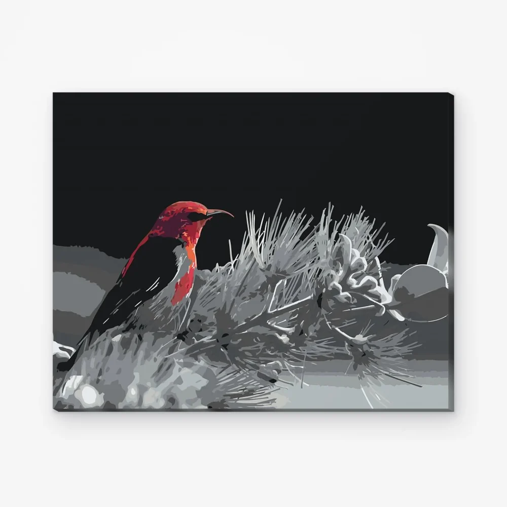 Pintar por Números - Pájaro en una rama