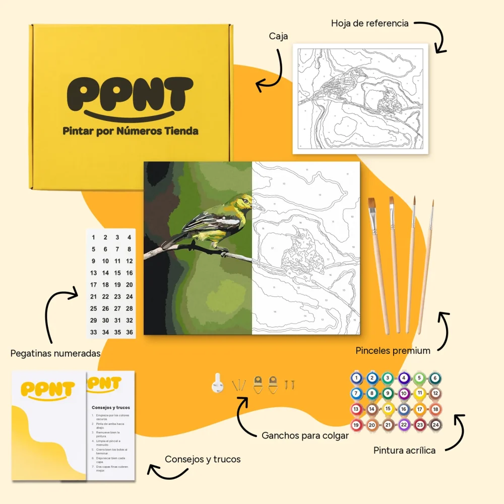 Pintar por Números - Pájaros en el árbol