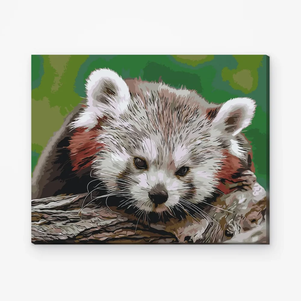 Pintar por Números - Panda rojo