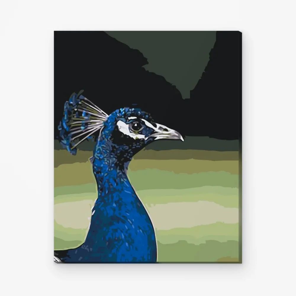 Pintar por Números - Pávice