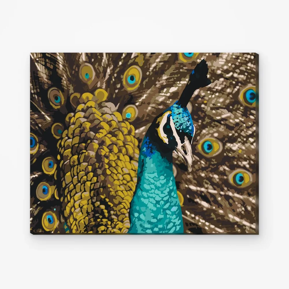 Pintar por Números - Pavo real orgulloso