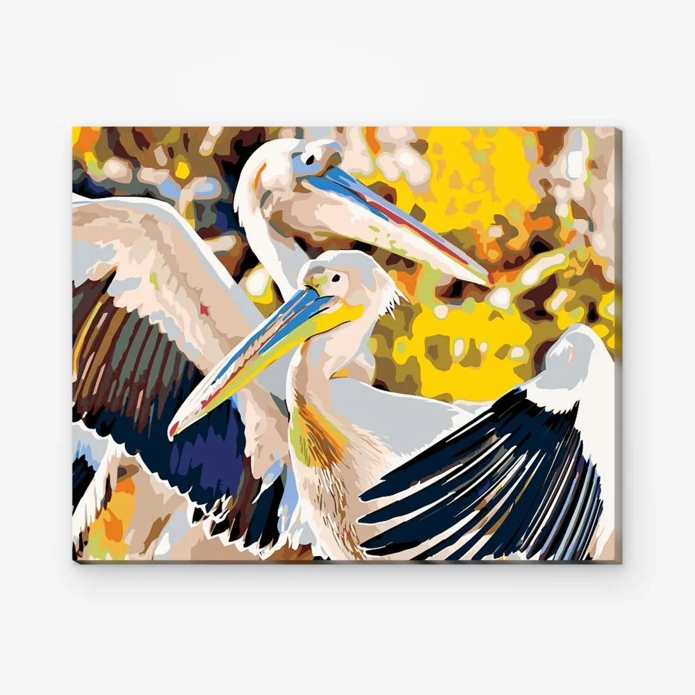 Pintar por Números - Pelícanos