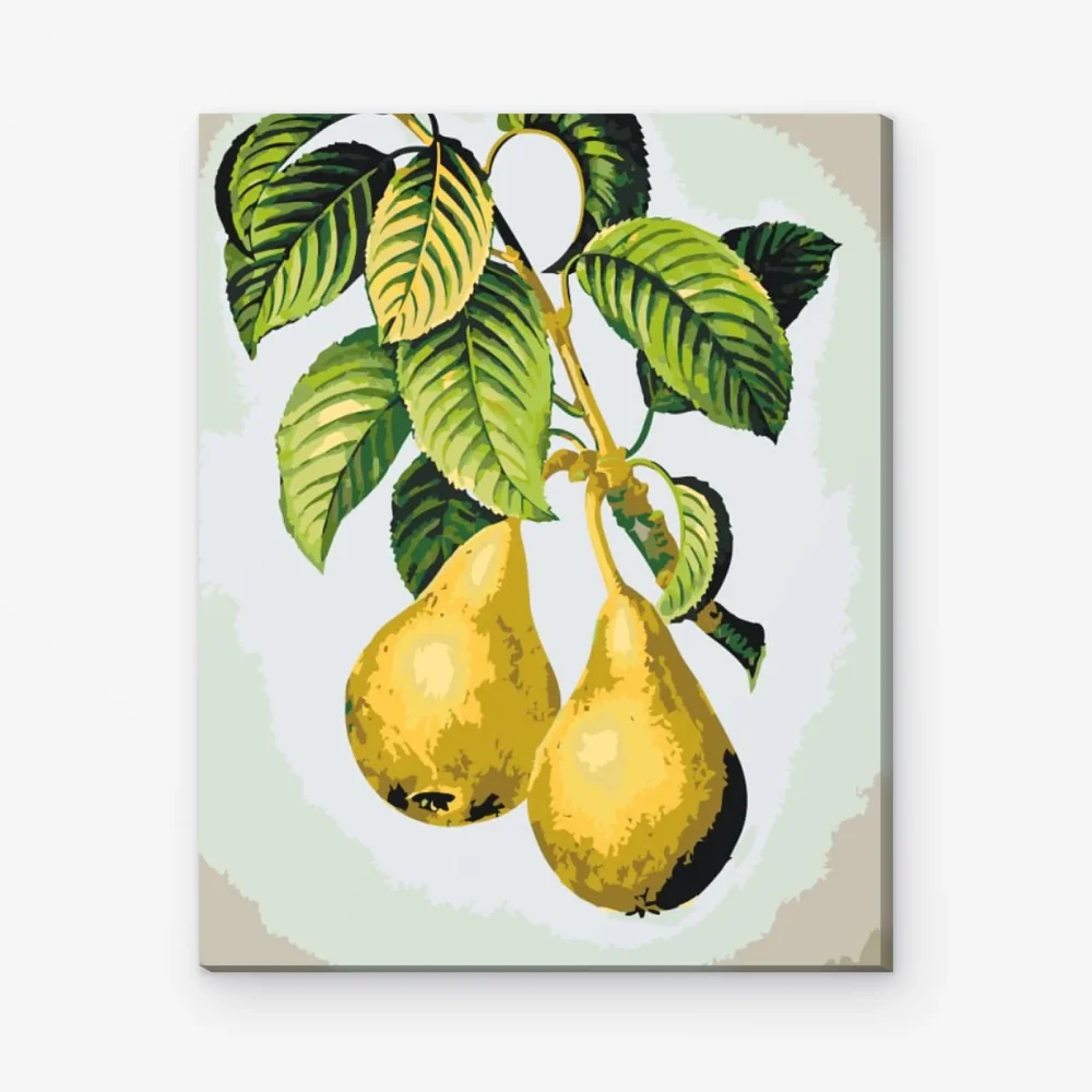 Pintar por Números - Peras maduras