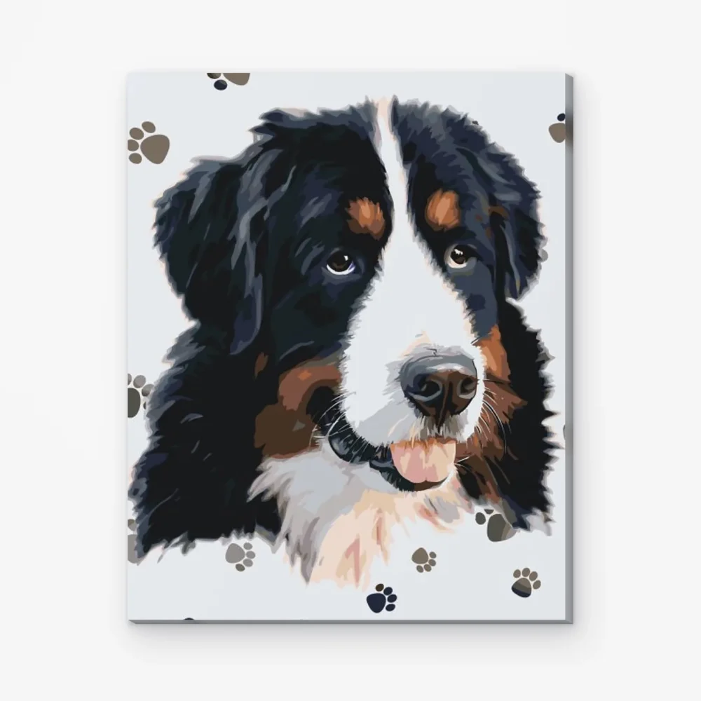 Pintar por Números - Perro con las patas redondas