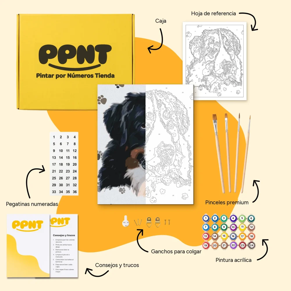 Pintar por Números - Perro con las patas redondas