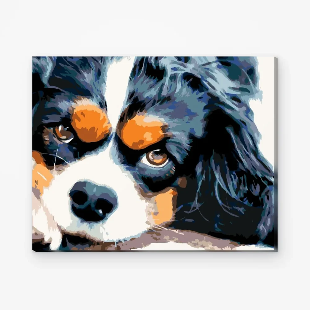 Pintar por Números - Perro pensador