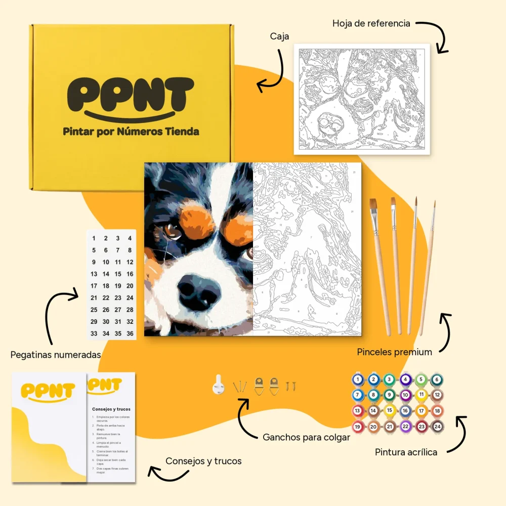 Pintar por Números - Perro pensador
