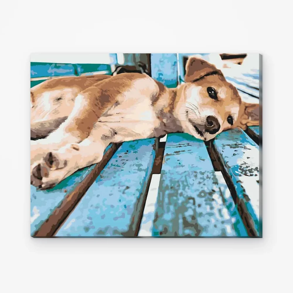 Pintar por Números - Perro perezoso