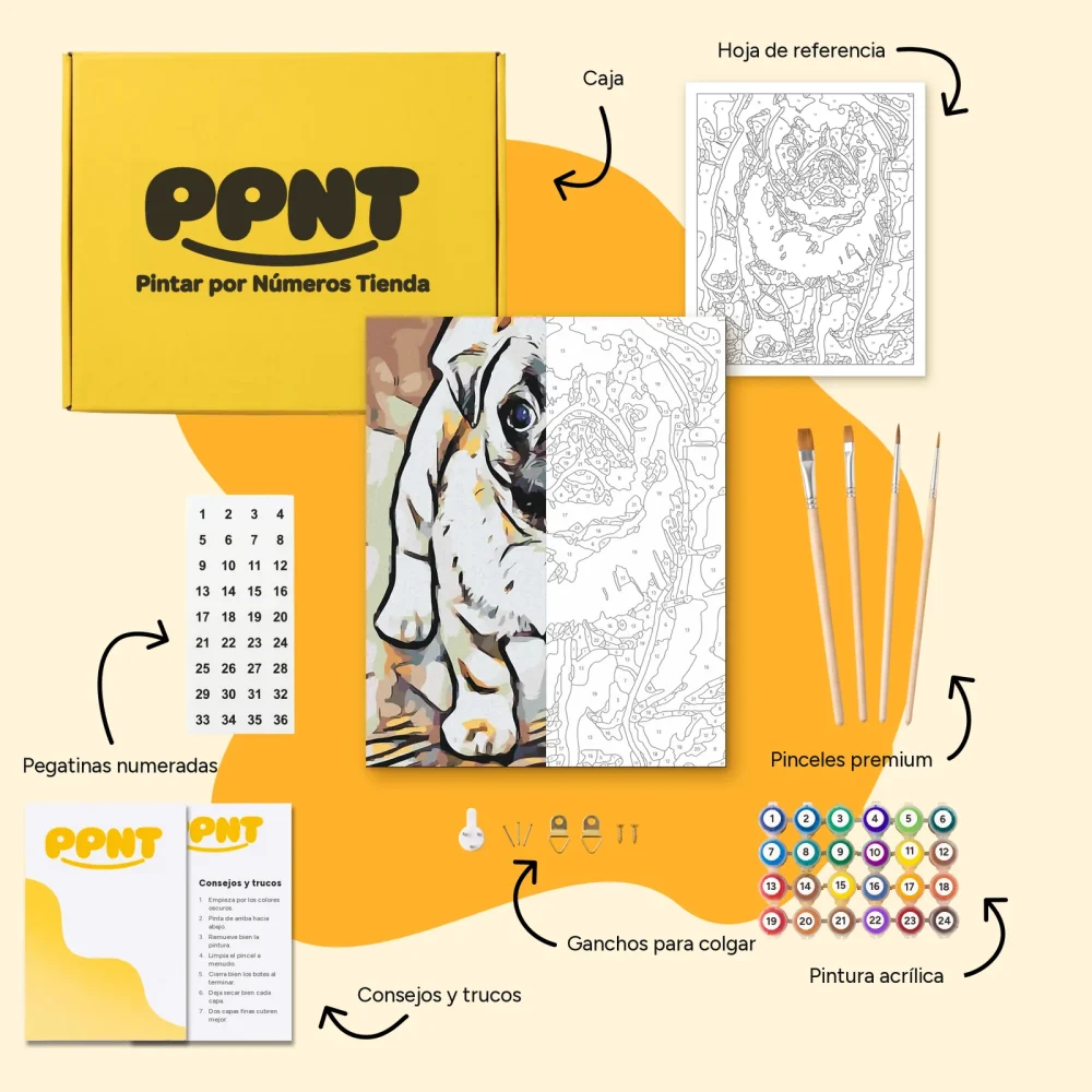 Pintar por Números - Pug