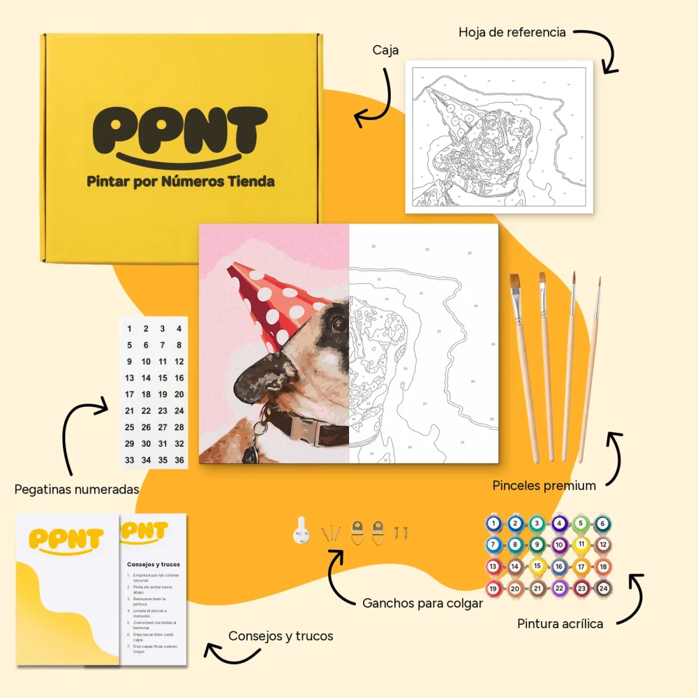 Pintar por Números - Pug en la fiesta