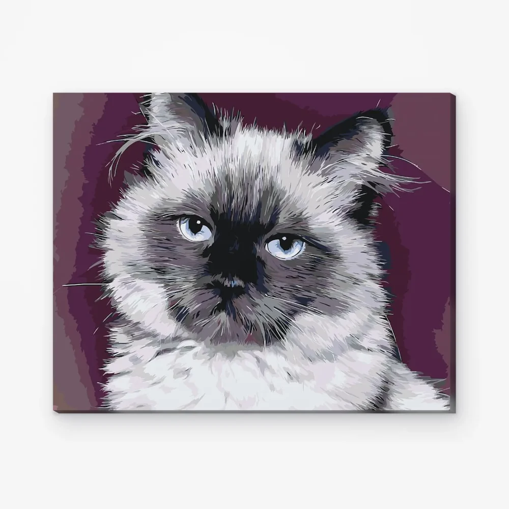 Pintar por Números - Retrato de un gato