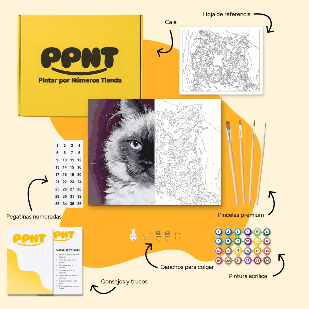 Pintar por Números - Retrato de un gato