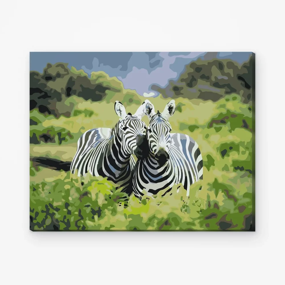 Pintar por Números - Safari cebra