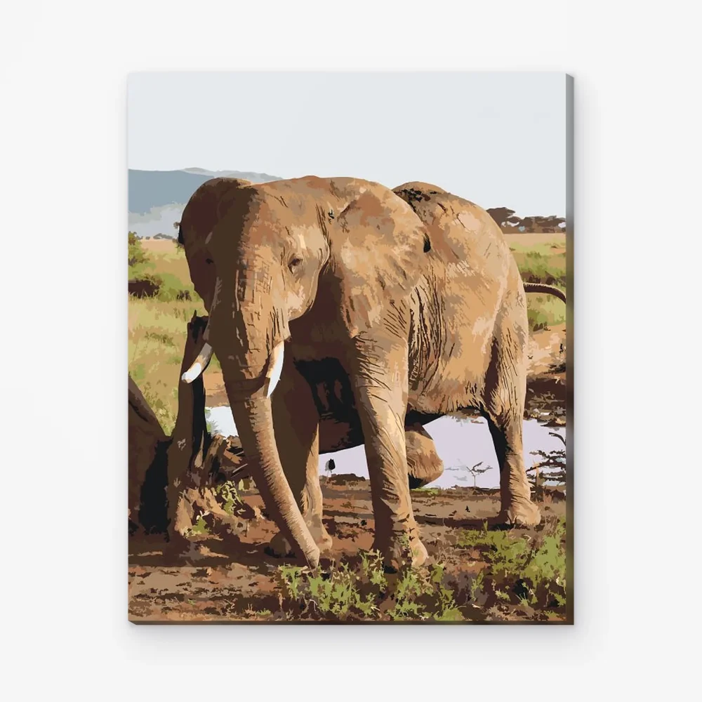 Pintar por Números - Safari - Elefante