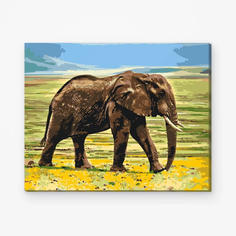 Pintar por Números - Safari en elefante