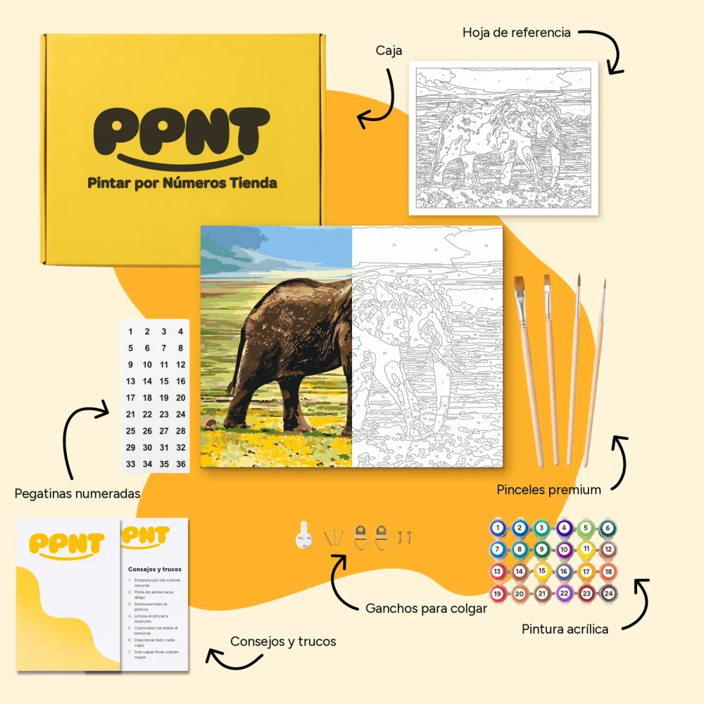 Pintar por Números - Safari en elefante