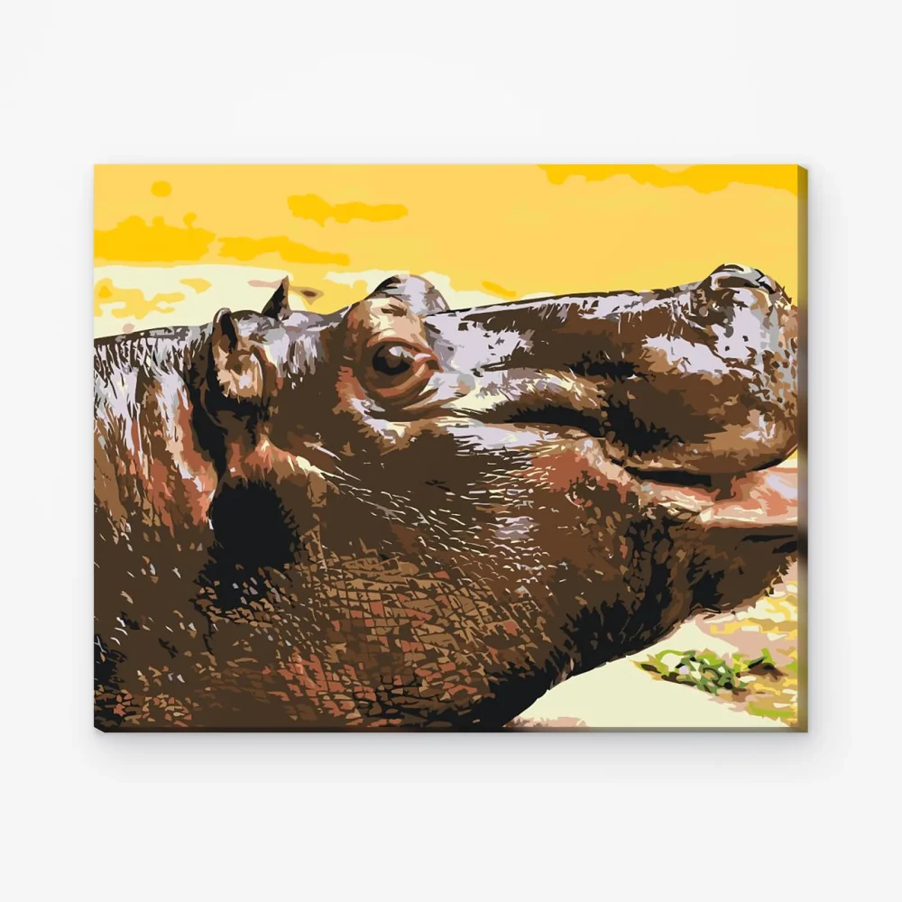 Pintar por Números - Safari hipopótamo