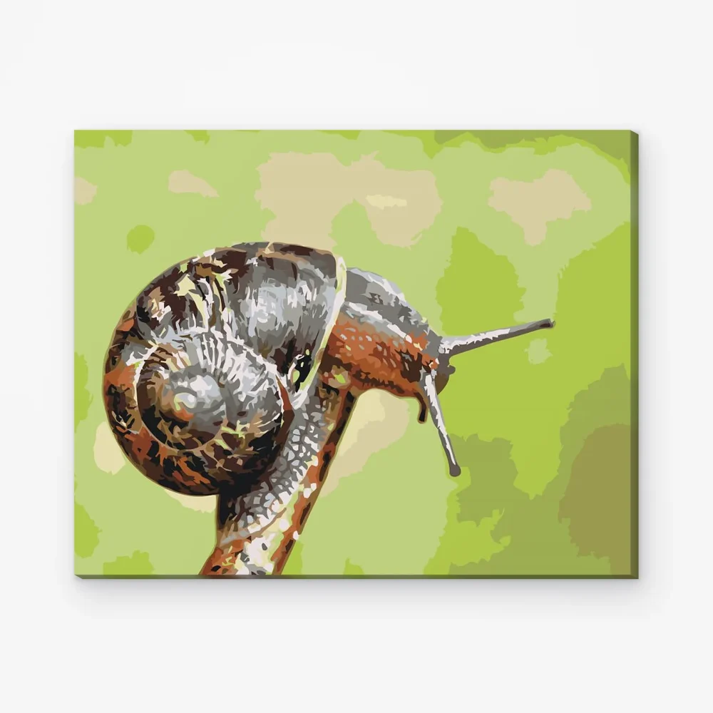 Pintar por Números - Slak