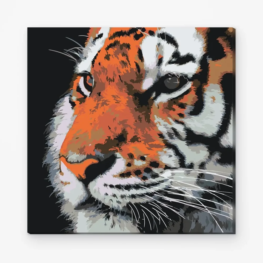 Pintar por Números - Tigre en primer plano