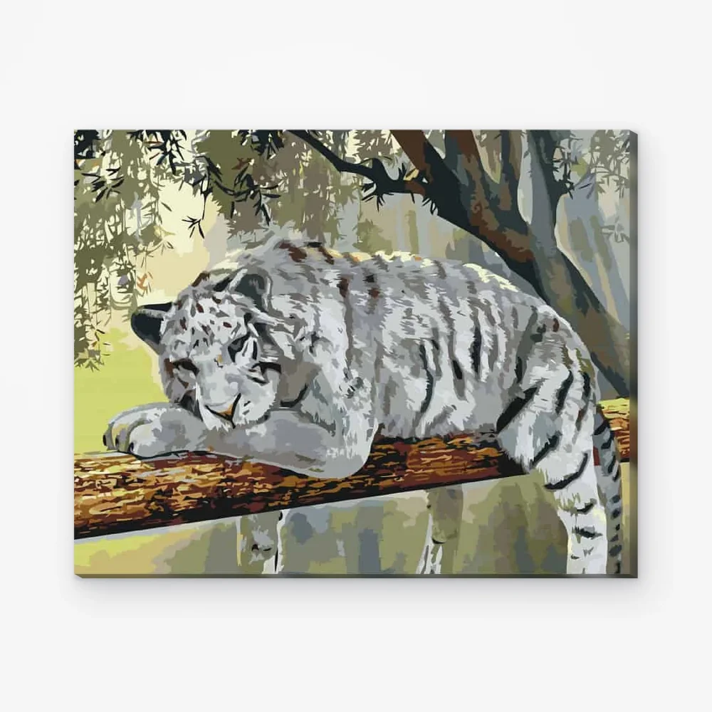 Pintar por Números - Tigre blanco