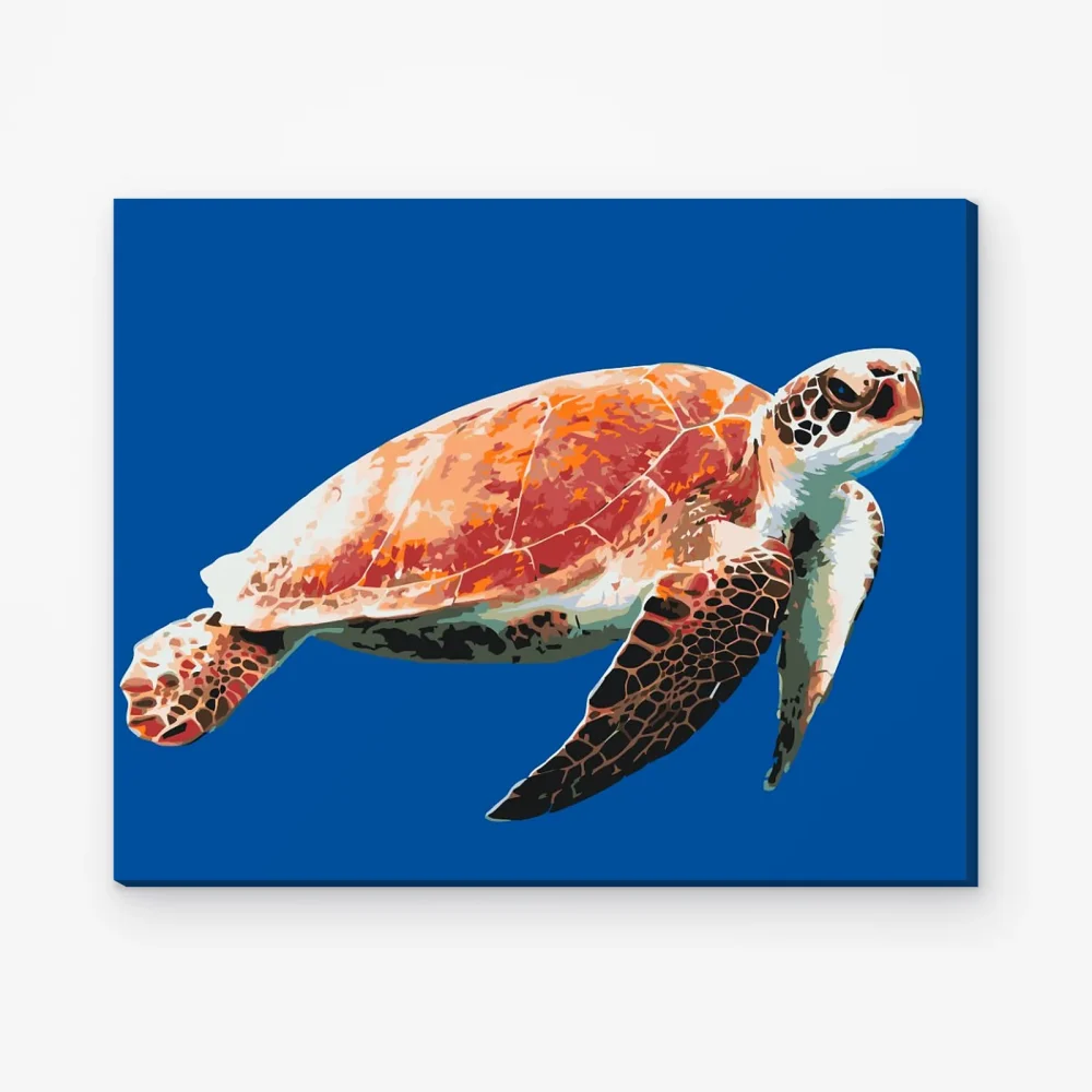 Pintar por Números - Tortuga marina sobre fondo azul