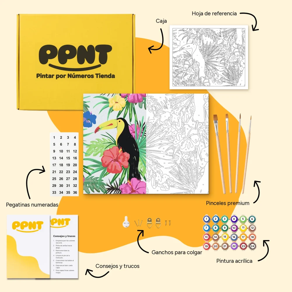 Pintar por Números - Tucán tropical