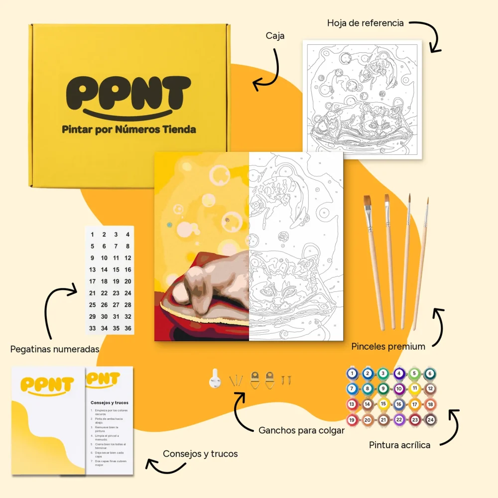 Pintar por Números - Un gato soñando con un pez