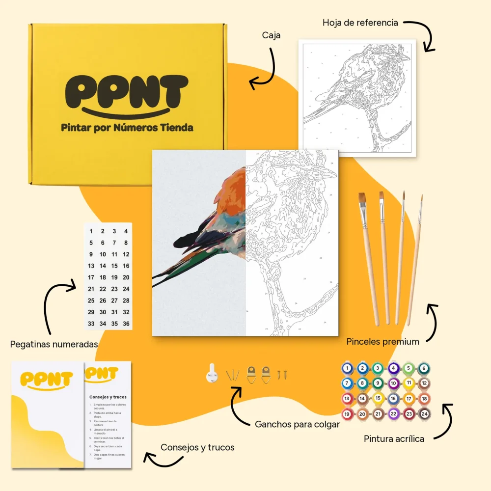 Pintar por Números - Un pájaro en una rama
