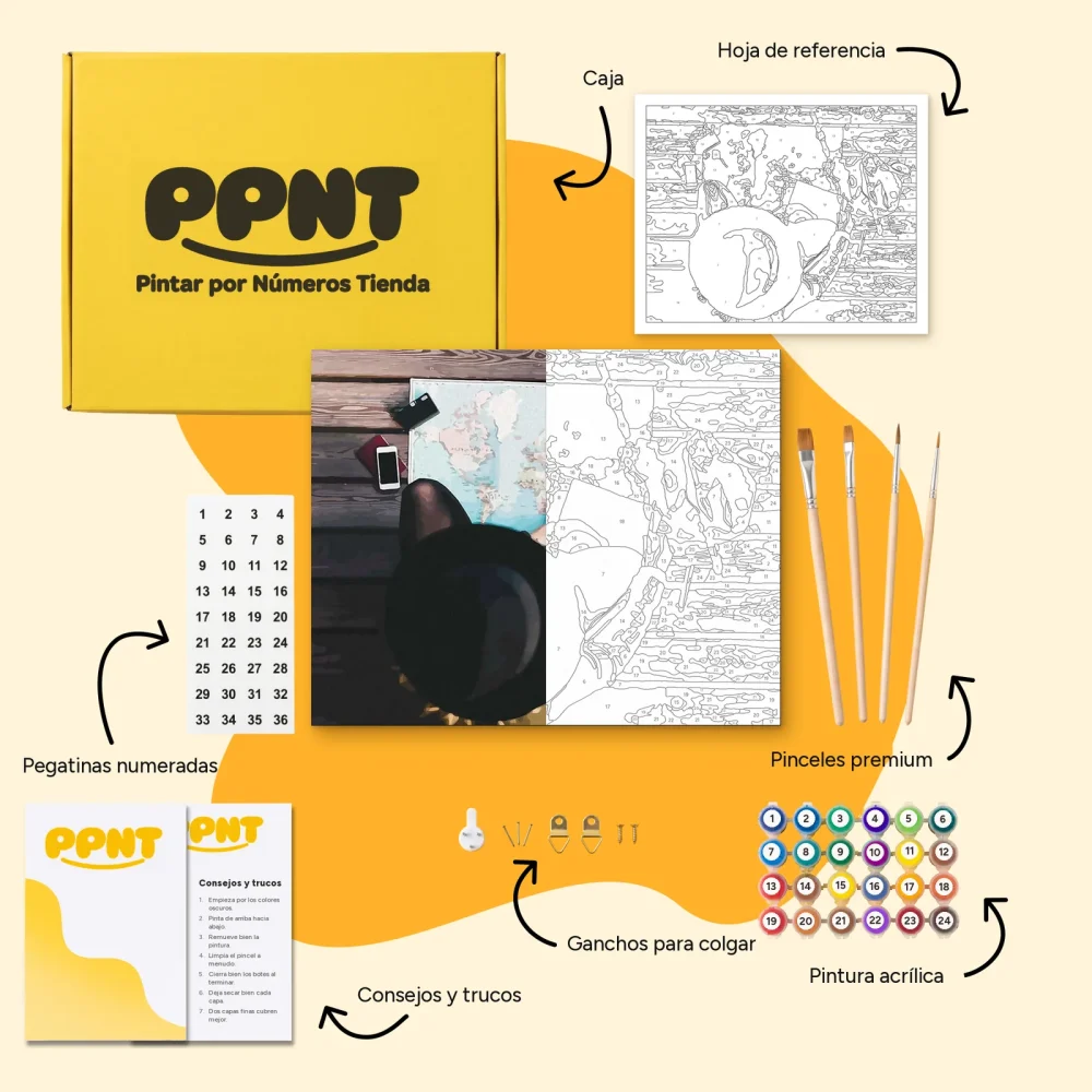 Pintar por Números - Un turista explora el mapa del mundo