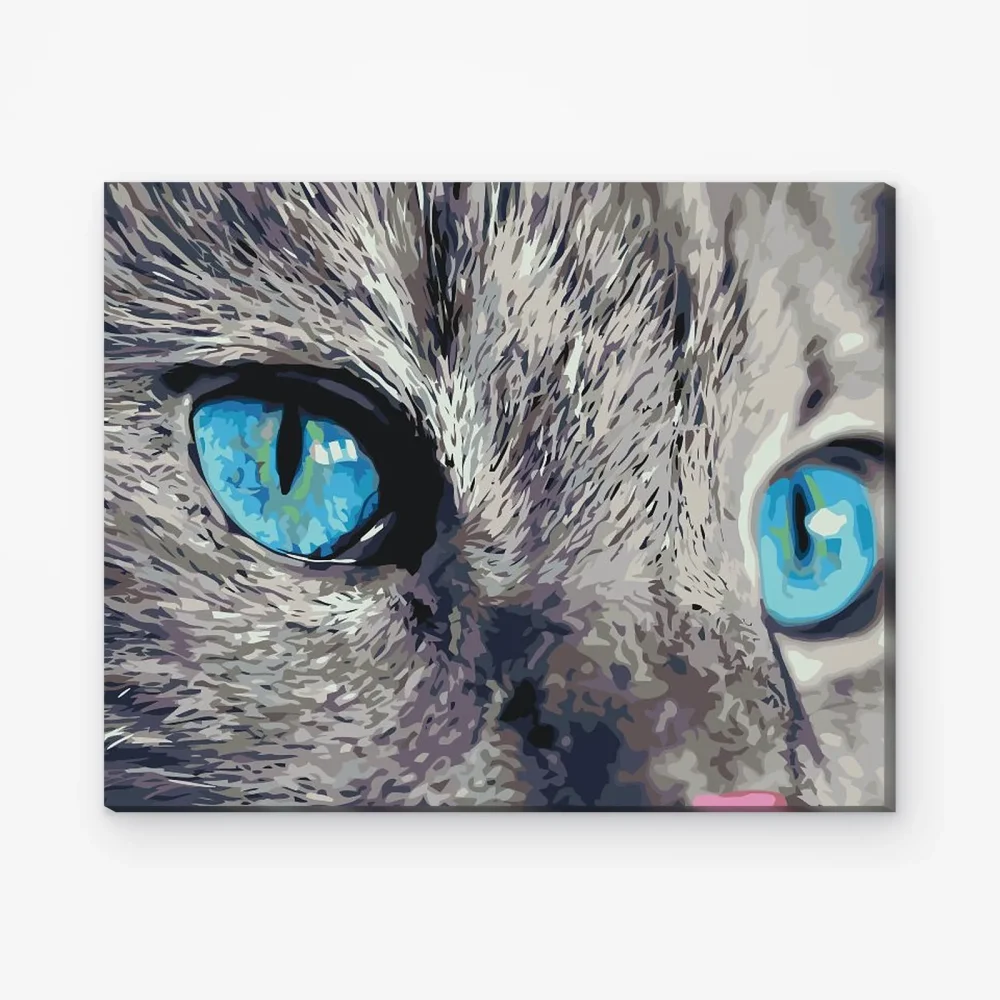Pintar por Números - Una mirada penetrante