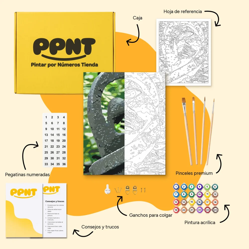 Pintar por Números - Uniformidad