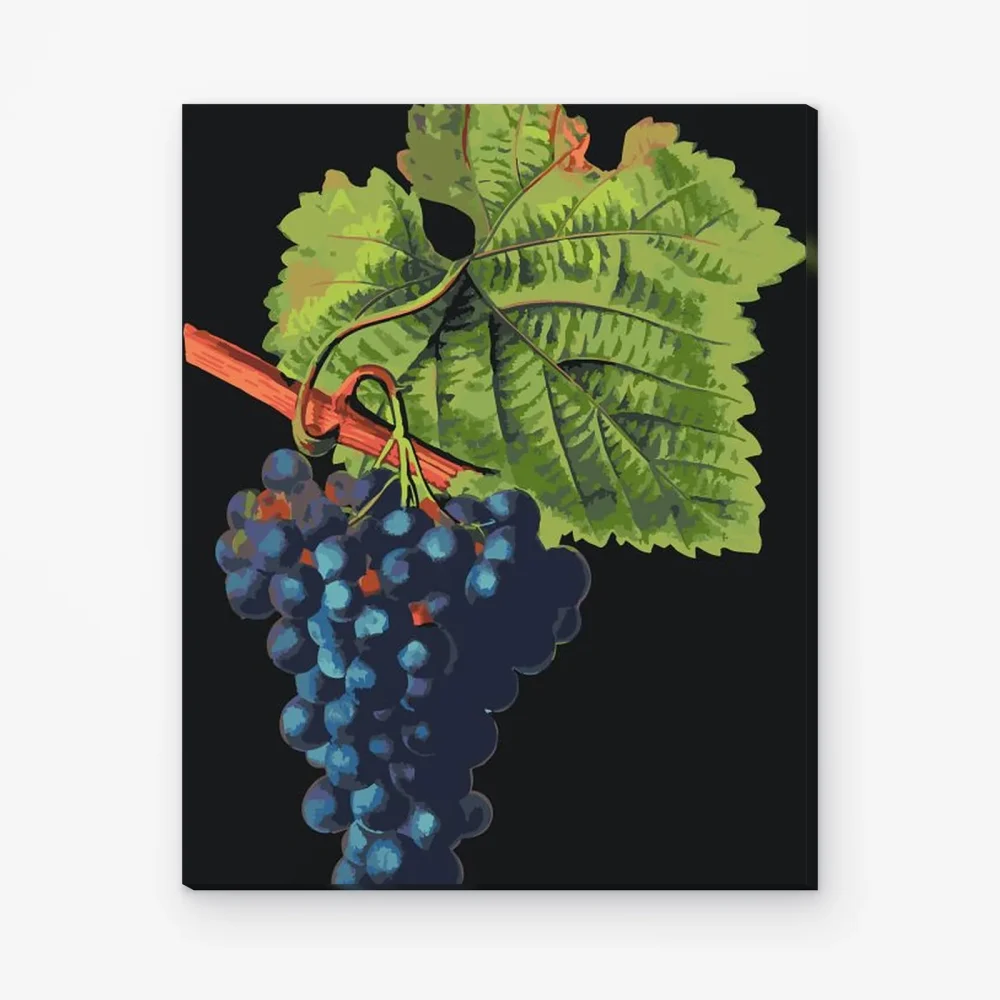 Pintar por Números - Uvas de vendimia