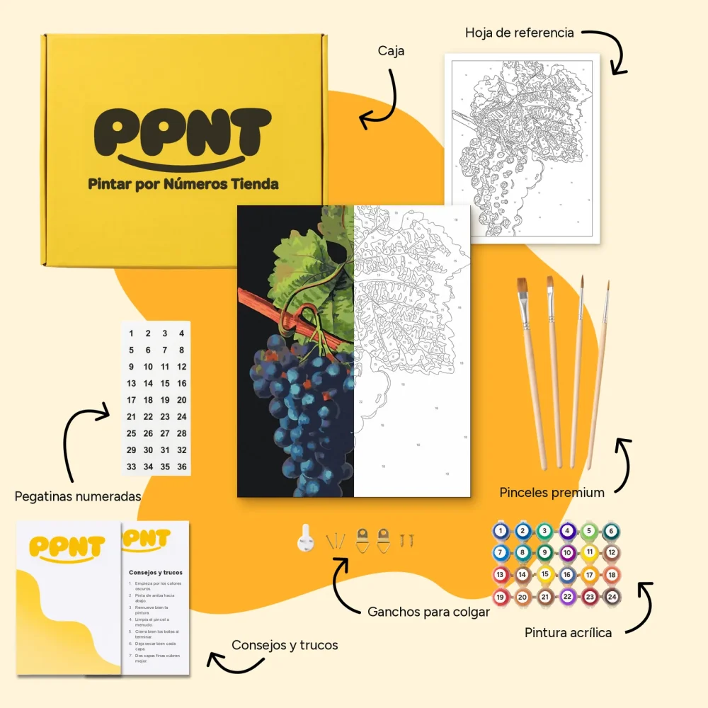 Pintar por Números - Uvas de vendimia