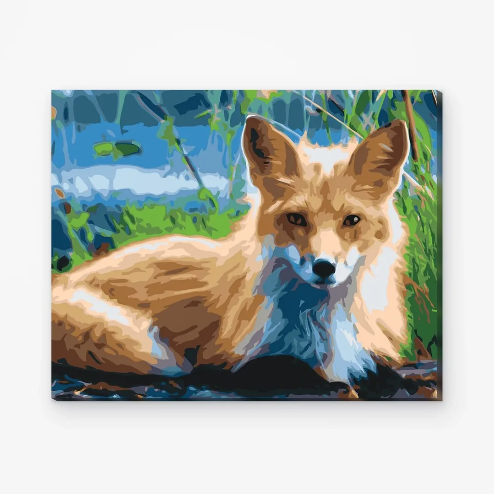 Pintar por Números - Zorro