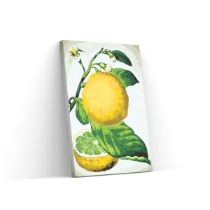 Pintar por Números - Limón fresco