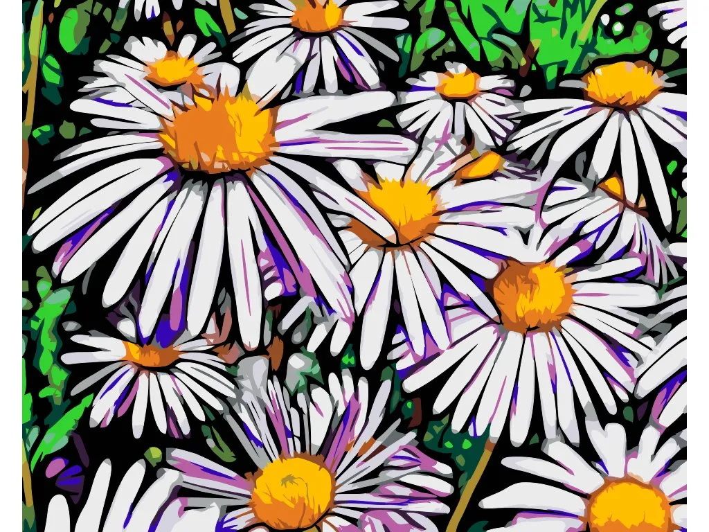 Pintar por Números - Margaritas