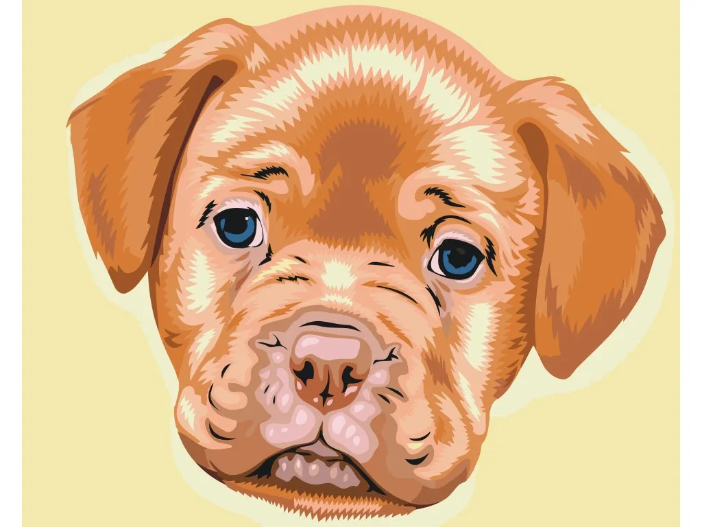Pintar por Números - Pequeño cachorro
