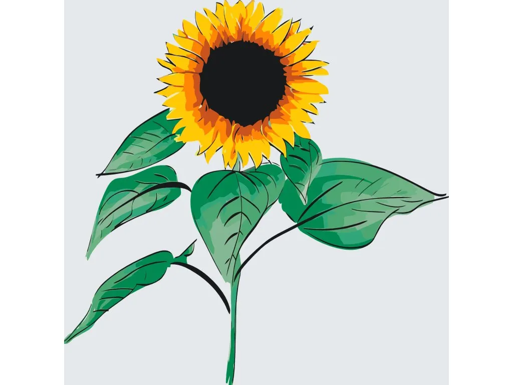 Pintar por Números - Girasoles 2