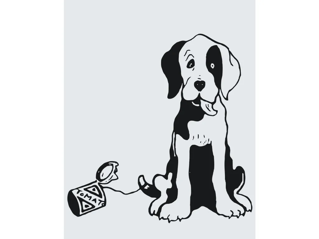 Pintar por Números - Perro blanco y negro