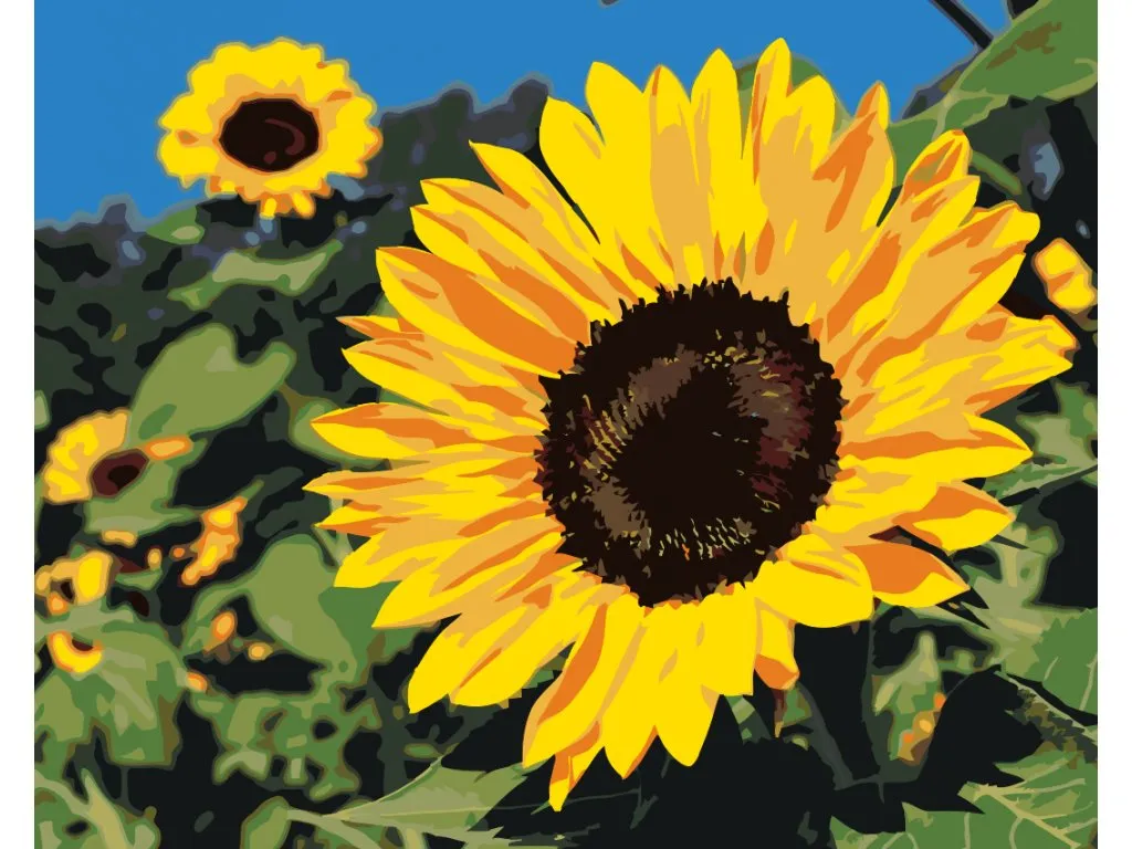 Pintar por Números - Girasoles
